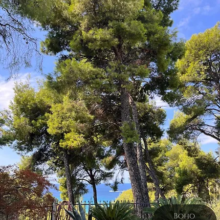 One & Only Luxury Living Villa